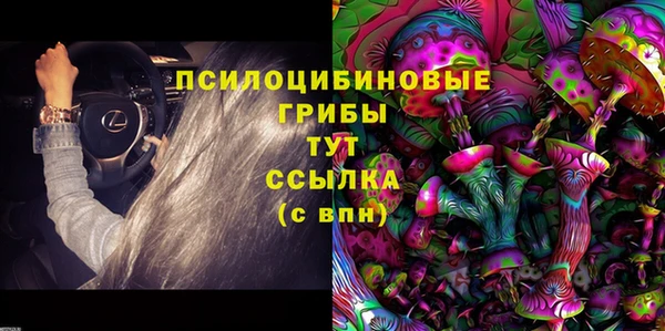 герыч Куйбышев