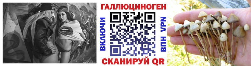 Галлюциногенные грибы MAGIC MUSHROOMS  Купить  Белоозёрский 